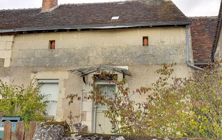 Réseau Immo-diffusion : Maison  MONTOIRE-SUR-LE-LOIR  53 m2 18 000 € 