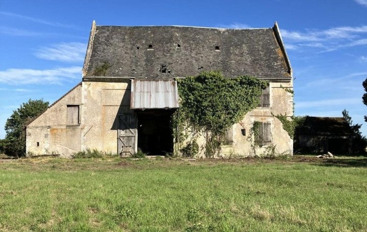 Réseau Immo-diffusion : Maison  CRUCHERAY  400 m2 45 000 € 