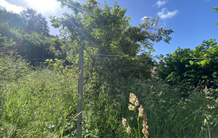 Maison LA CHARTRE-SUR-LE-LOIR (72340)  74 m2 81 000 € 