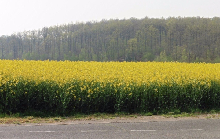 Terrain VENDOME (41100)   24 800 € 