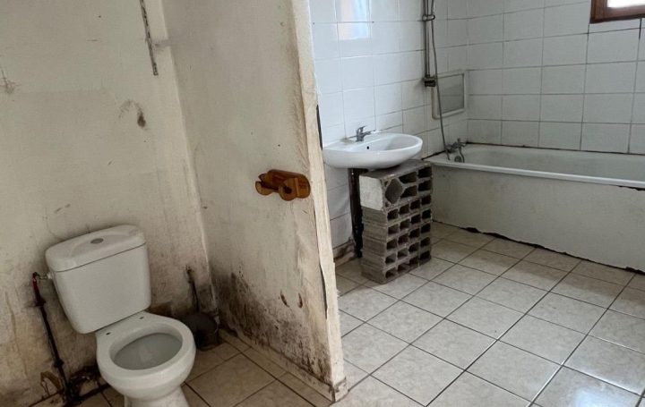 Maison OUZOUER-LE-MARCHE (41240)  96 m2 118 000 € 