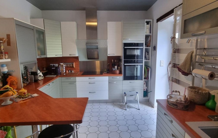 Maison VENDOME (41100)  275 m2 463 900 € 