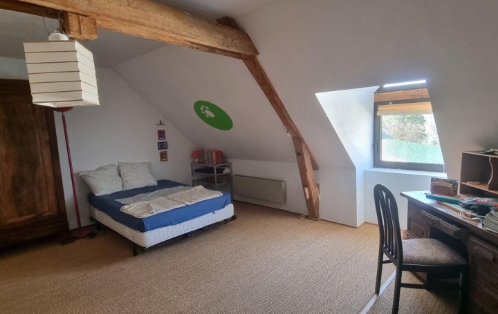 Maison VENDOME (41100)  275 m2 463 900 € 