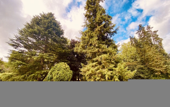 Maison MAZANGE (41100)  153 m2 298 000 € 