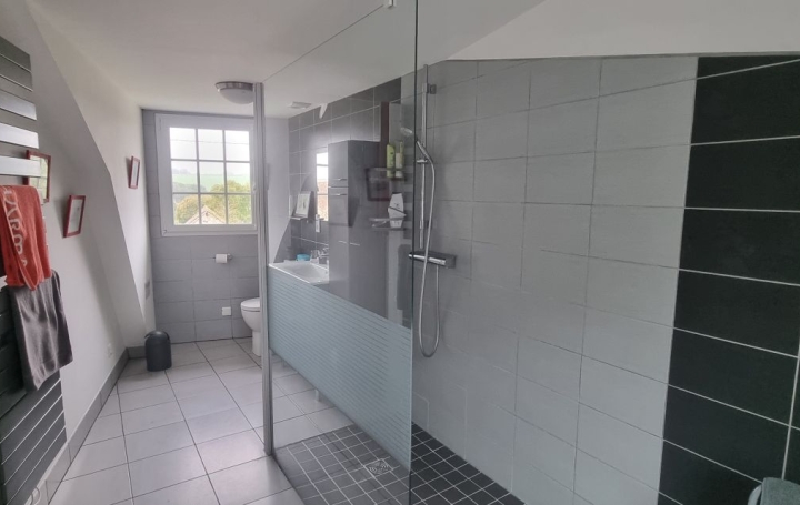 Maison VENDOME (41100)  265 m2 388 500 € 