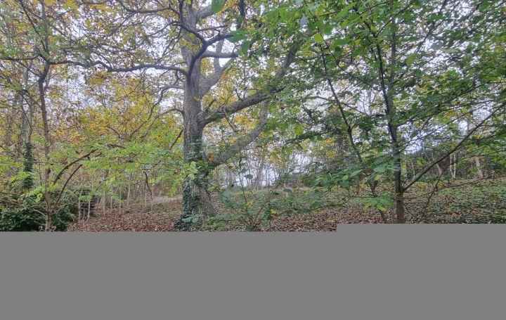 Maison VENDOME (41100)  115 m2 209 500 € 