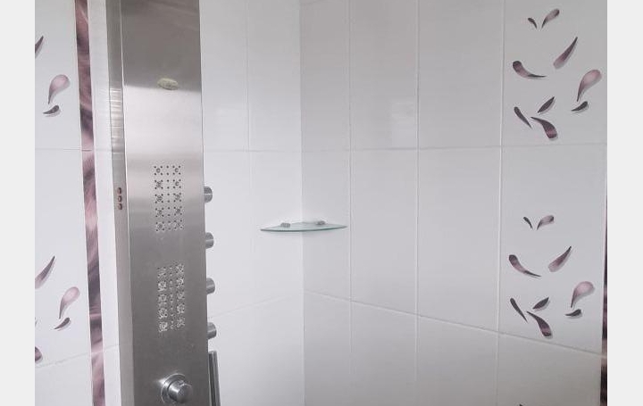 Maison VENDOME (41100)  191 m2 345 000 € 