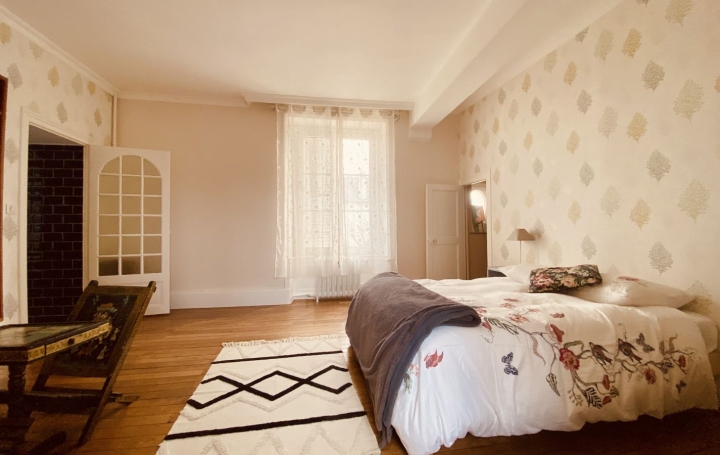 Maison VENDOME (41100)  273 m2 614 000 € 