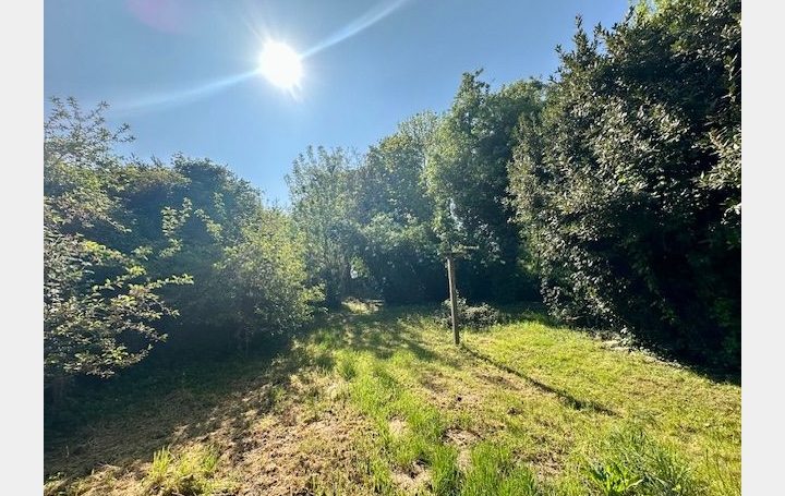 Maison OUCQUES-LA-NOUVELLE (41290)  128 m2 148 000 € 