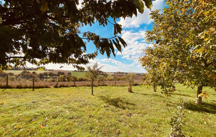 Maison VENDOME (41100)  198 m2 341 250 € 