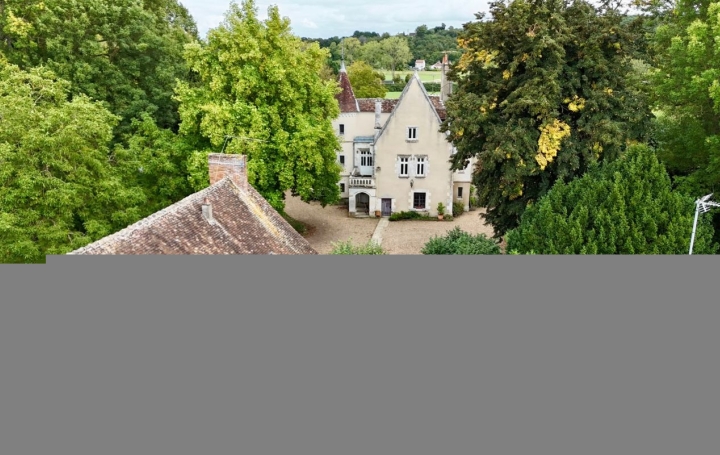 Villa VENDOME (41100)  431 m2 598 000 € 