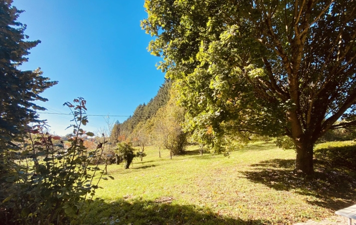 Maison MONTOIRE-SUR-LE-LOIR (41800)  145 m2 148 000 € 