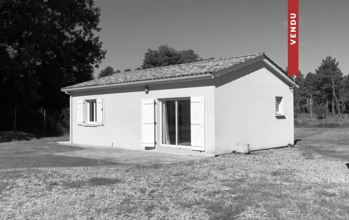 Réseau Immo-diffusion : Maison  CASTELJALOUX  60 m2 105 000 € 