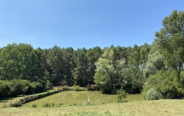 Maison MARMANDE (47200)  186 m2 798 000 € 