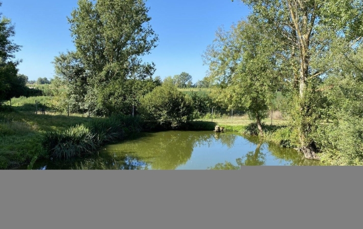 Propriété MARMANDE (47200)  260 m2 367 500 € 