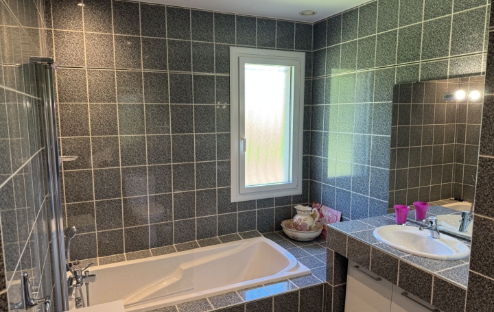 Maison CASTELJALOUX (47700)  235 m2 556 000 € 