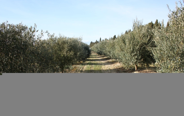 Propriété BEZIERS (34500)  95 m2 444 000 € 