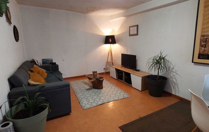 3 Pièces SAINT-LAURENT-DU-PONT (38380)  53 m2 69 000 € 