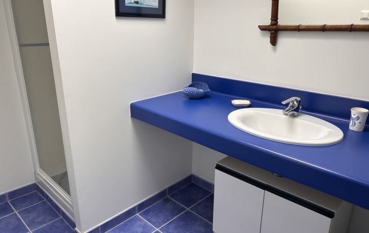 Maison TREGASTEL (22730)  160 m2 1 005 000 € 