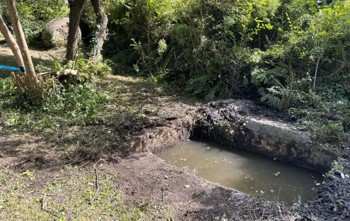 Terrain PERROS-GUIREC (22700)   219 450 € 