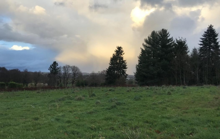 Réseau Immo-diffusion : Terrain  SAINT-PARDOUX-CORBIER   18 000 € 