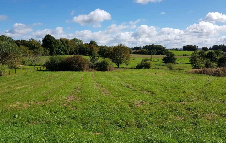 Réseau Immo-diffusion : Terrain  SAINT-JULIEN-LE-VENDOMOIS   12 000 € 