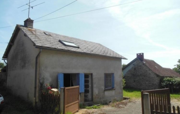 Réseau Immo-diffusion : Maison  BENAYES  100 m2 38 000 € 