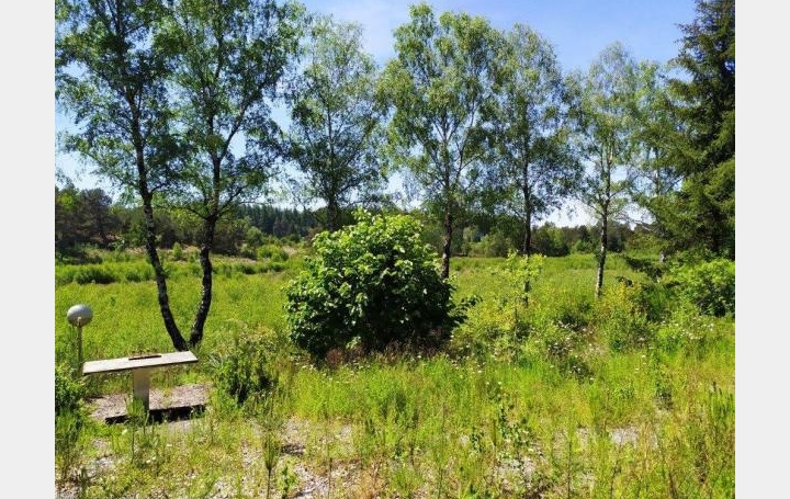 Réseau Immo-diffusion : Maison  GENTIOUX-PIGEROLLES  84 m2 49 500 € 