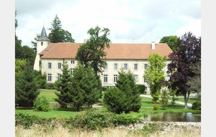 Réseau Immo-diffusion : Maison  BLESSAC  1 800 m2 3 150 000 € 