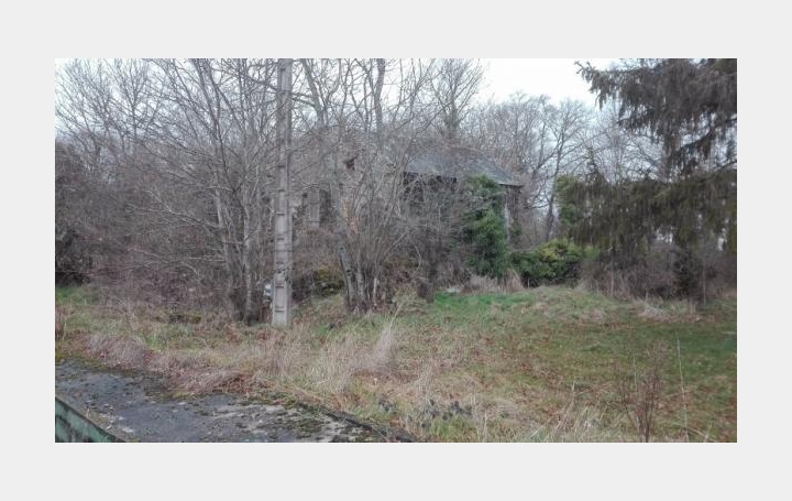 Réseau Immo-diffusion : Maison  PEYRAT-LA-NONIERE  46 m2 60 000 € 