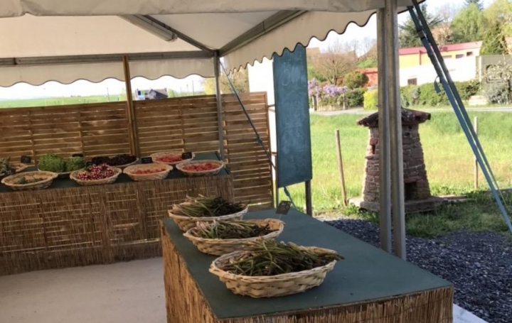 Réseau Immo-diffusion : Activité commerciale  MONTLAUR   43 000 € 