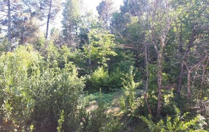 Maison LES VANS (07140)  100 m2 185 000 € 