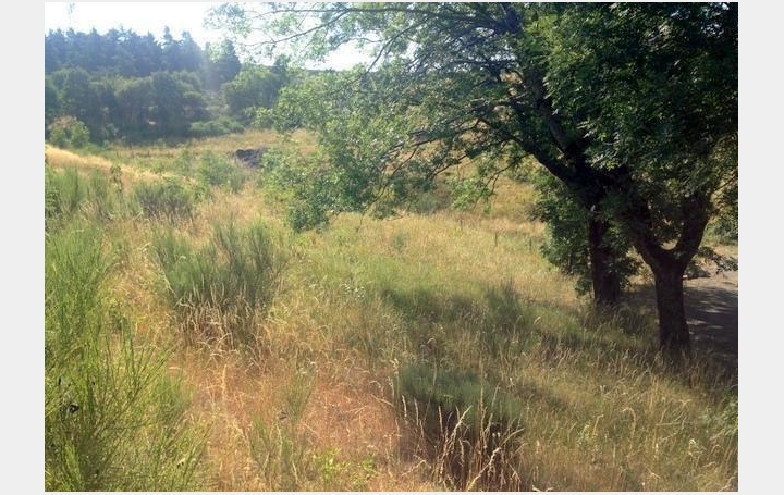 Maison LES VANS (07140)  55 m2 35 000 € 