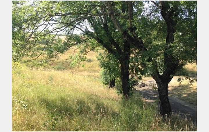 Maison LES VANS (07140)  55 m2 35 000 € 