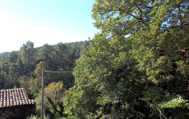 Maison SAINT-PAUL-LE-JEUNE (07460)  380 m2 235 000 € 