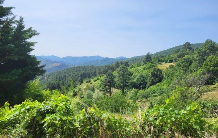 Maison LES VANS (07140)  160 m2 265 000 € 