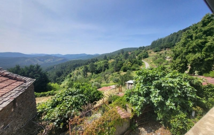 Maison LES VANS (07140)  160 m2 265 000 € 