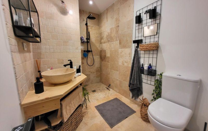 Maison LES VANS (07140)  150 m2 575 000 € 