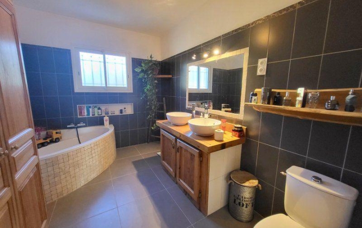 Maison SAINT-AMBROIX (30500)  115 m2 275 000 € 