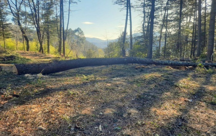 Terrain SAINT-AMBROIX (30500)   55 000 € 