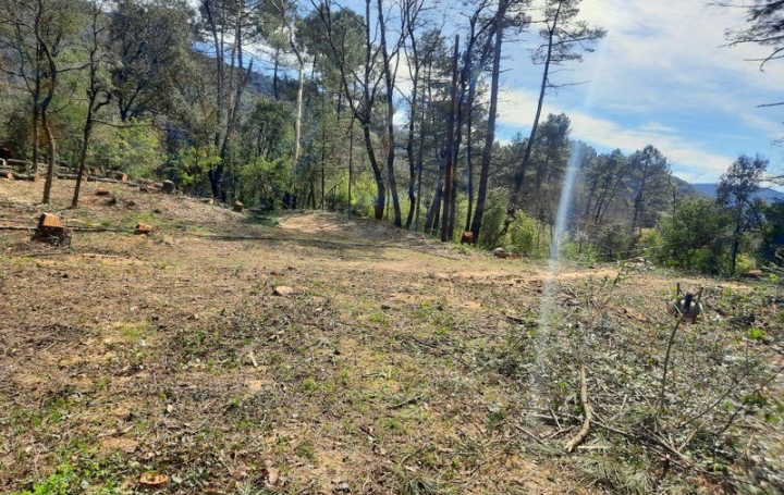 Terrain SAINT-AMBROIX (30500)   55 000 € 