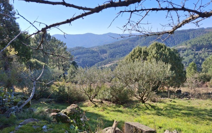 Maison LES VANS (07140)  230 m2 233 000 € 