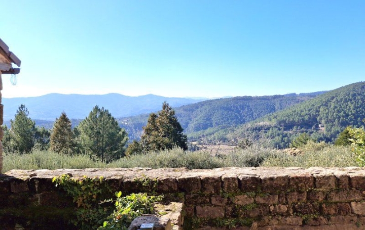 Maison LES VANS (07140)  230 m2 233 000 € 