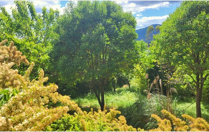 Maison LES VANS (07140)  75 m2 225 000 € 