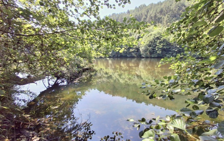 Maison LES VANS (07140)  195 m2 519 000 € 