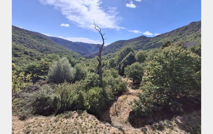 Maison LES VANS (07140)  90 m2 225 000 € 