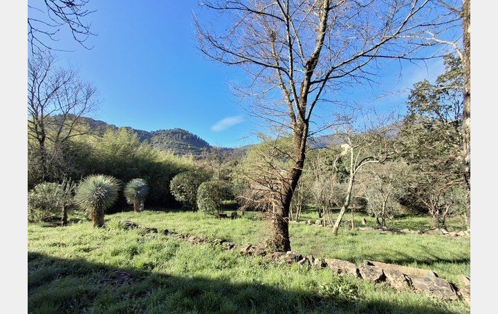 Maison LES VANS (07140)  198 m2 650 000 € 