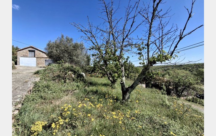 Maison LES VANS (07140)  90 m2 235 000 € 