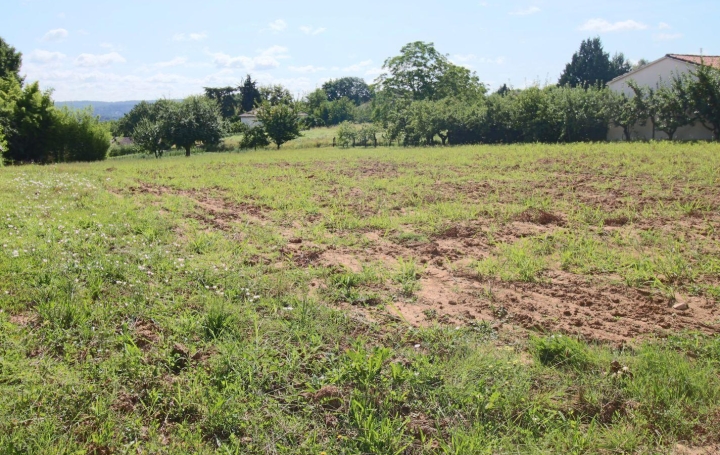Terrain PUY-L'EVEQUE (46700)   38 880 € 