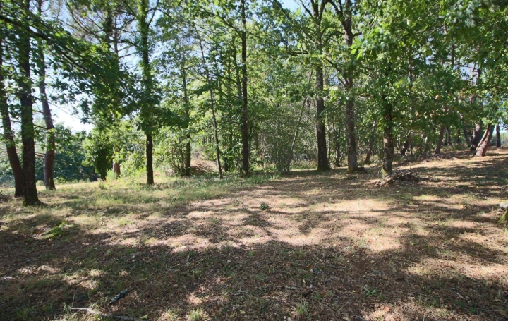Terrain PUY-L'EVEQUE (46700)   62 130 € 